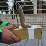 ادکلن (ادوپرفیوم گودگرل)گودنس